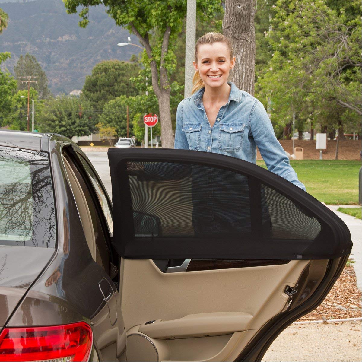 Protection de fenêtre pour voiture